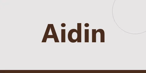 Aidin