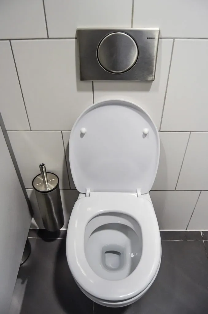 Golrang Toilet Cleaner & Bleach