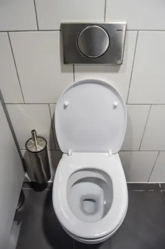 Golrang Toilet Cleaner & Bleach