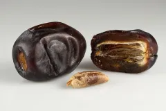 Mazafati Dates of Bam