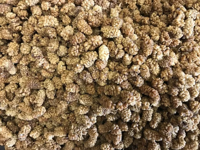 Dried White Mulberries (Toot)