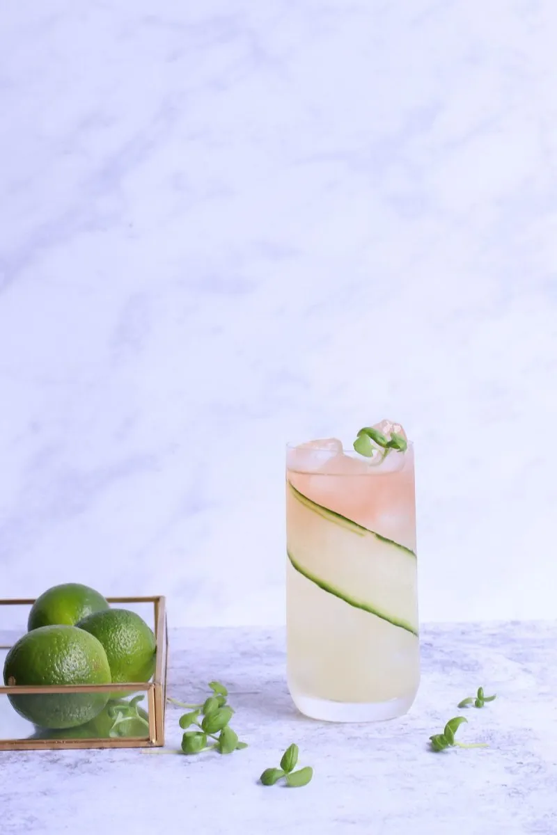 Sekanjabin (Mint & Vinegar Syrup)
