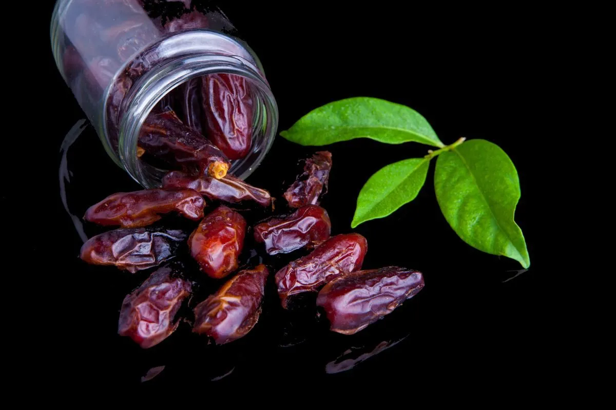 Rabbi Dates of Saravan