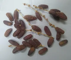 Zahedi Dates