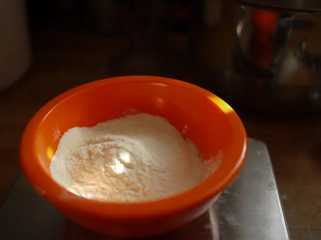 Pegah Skimmed Milk Powder