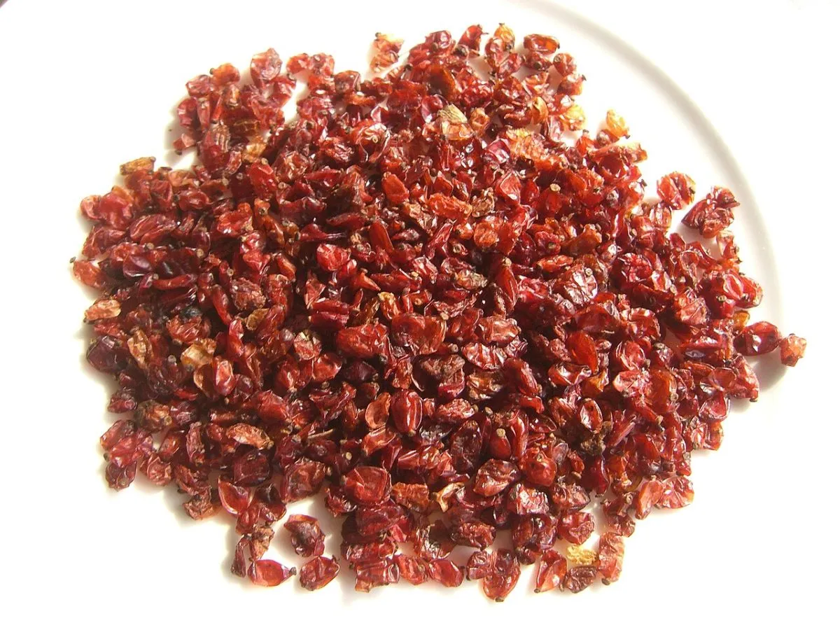 Qaen Barberries (Zereshk)