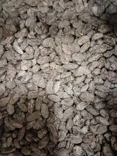 Black Raisins