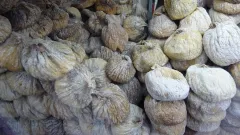 Estahban Dried Figs
