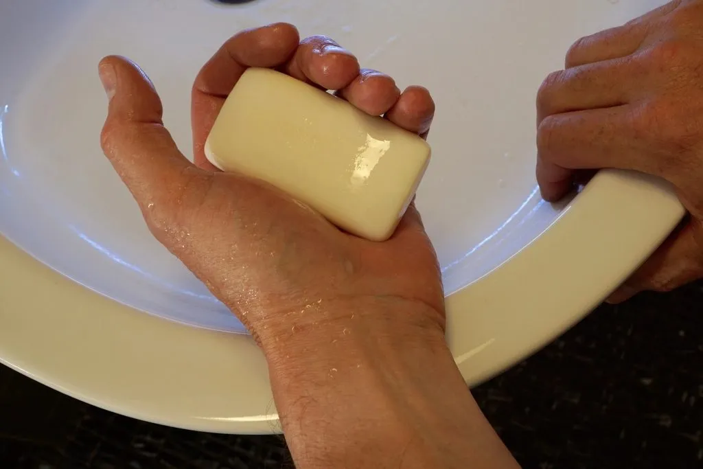 Paxan Aroos Beauty Soap