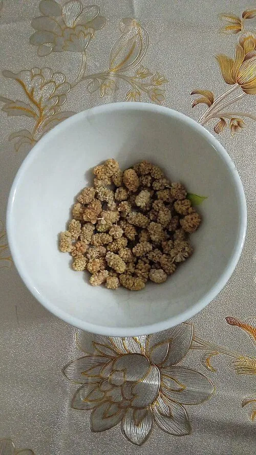 Dried White Mulberries (Toot)