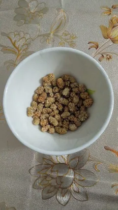 Dried White Mulberries (Toot)